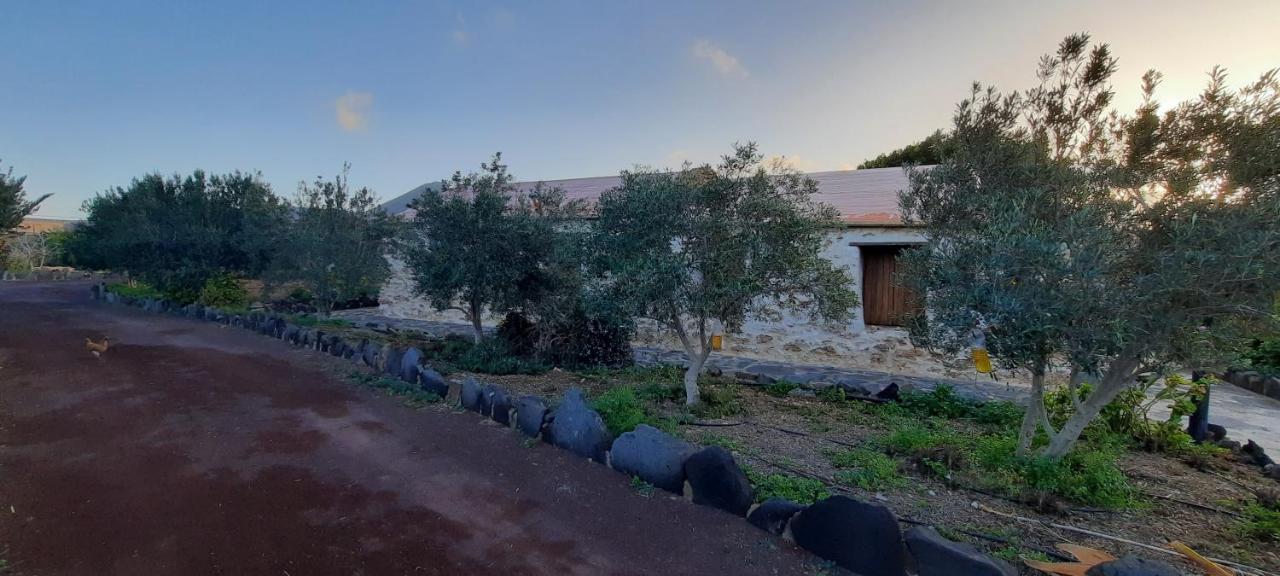 Agroturismo La Gayria Tiscamanita エクステリア 写真