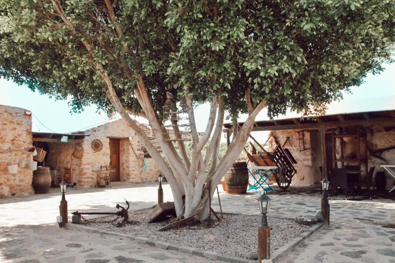 Agroturismo La Gayria Tiscamanita エクステリア 写真