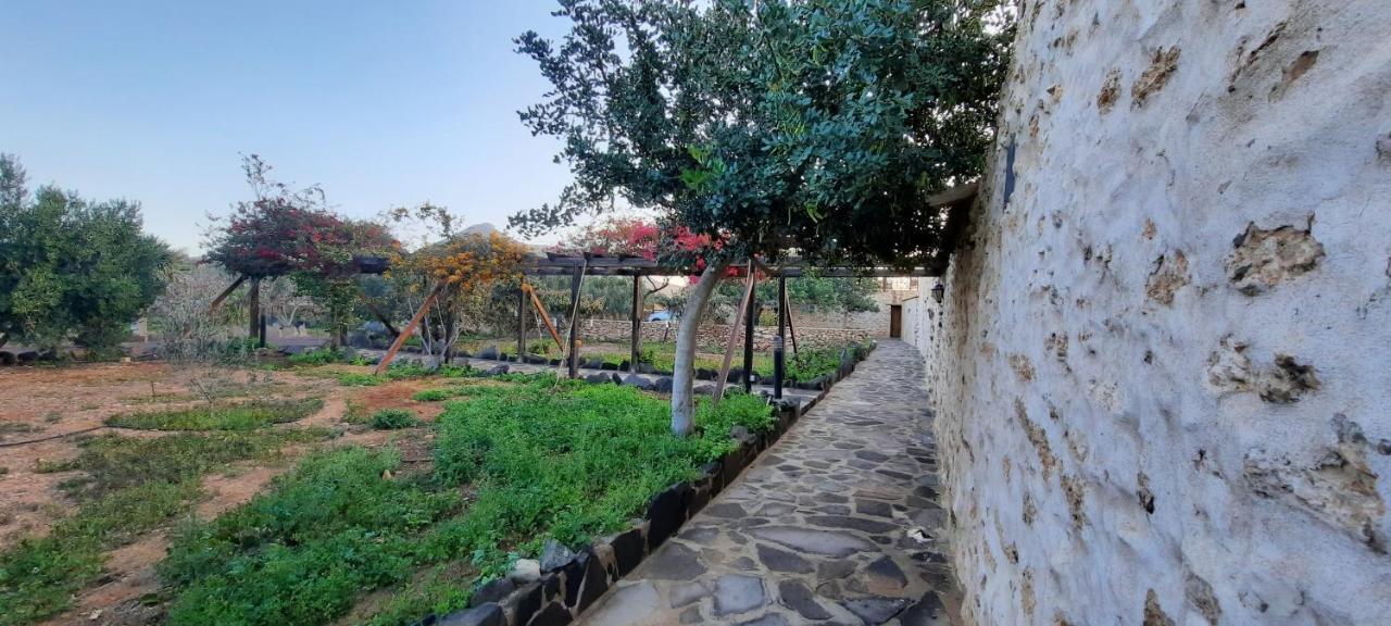 Agroturismo La Gayria Tiscamanita エクステリア 写真