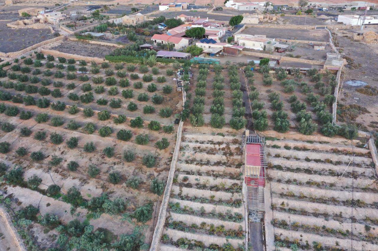 Agroturismo La Gayria Tiscamanita エクステリア 写真